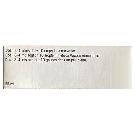 Dr. Reckeweg R81 Analgesic Drops 22 Ml