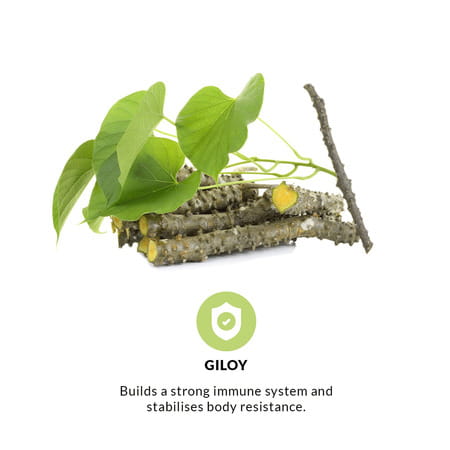 Pravek Giloy 60 Capsules