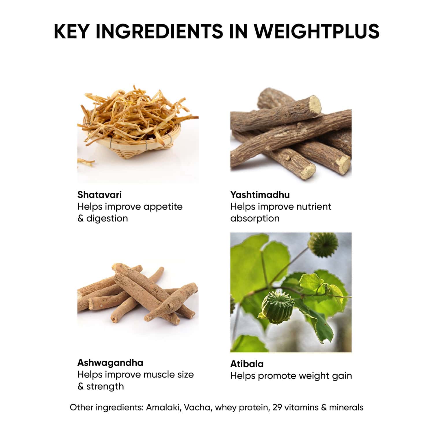 Buy DR. VAIDYA'S WEIGHT PLUS WITH 6 SUPERHERBS FOR HEALTHY WEIGHT GAIN