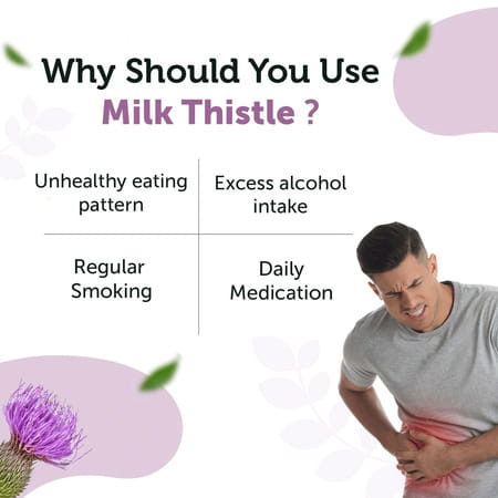 Neuherbs Milk Thistle 60 Capsules