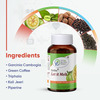 Fytika Let It Melt - 60 Veg Tablets