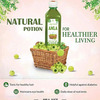Axiom Aloevera Amla Juice|Helps In Improves Skin Health And Hair|Helps To Manage Weight - 500Ml