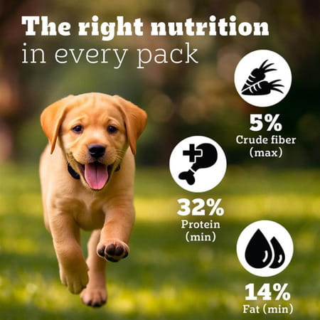 Pedigree Pro Puppy Large Breed | 20 Kg Dry Dog Food | Vet Trusted Brand (3-18 Months)