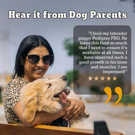 Pedigree Pro Puppy Large Breed | 20 Kg Dry Dog Food | Vet Trusted Brand (3-18 Months)