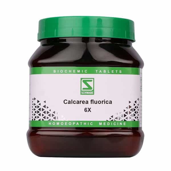 Dr. Willmar Schwabe India Calcarea Fluorica 6X 550Gm