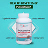 Way2herbal Punarnava Capsules | Kidney Support And Urinary Wellness - 120 Capsules