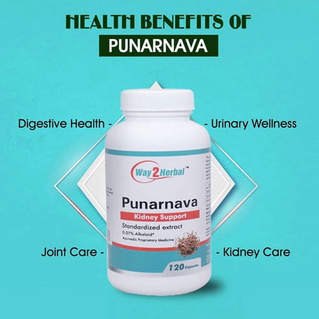 Way2herbal Punarnava Capsules | Kidney Support And Urinary Wellness - 120 Capsules