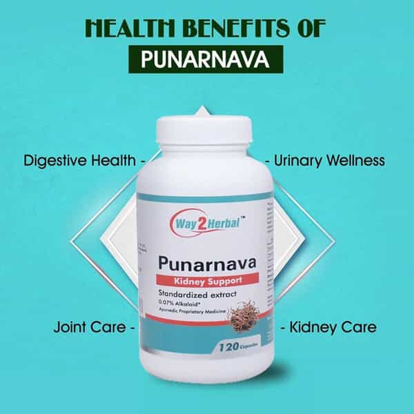 Way2herbal Punarnava Capsules | Kidney Support And Urinary Wellness - 120 Capsules