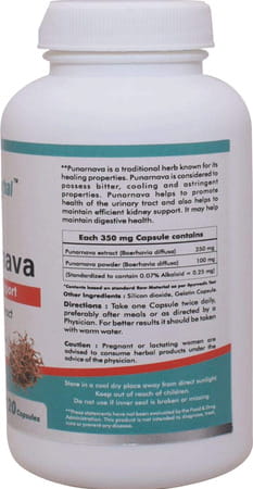 Way2herbal Punarnava Capsules | Kidney Support And Urinary Wellness - 120 Capsules