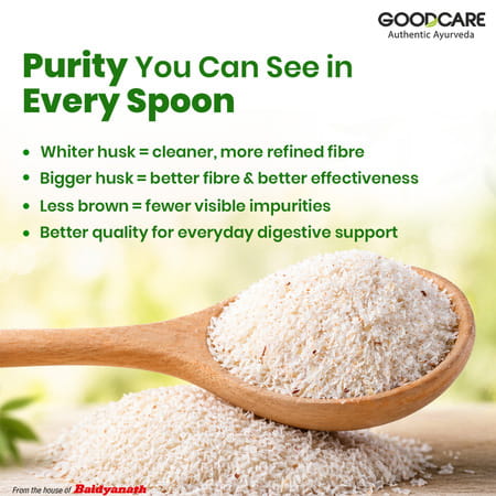 Goodcare Isabgol By Baidyanath | Adults | Psyllium Husk | 100 G | Pack Of 1