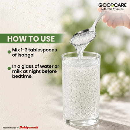 Goodcare Isabgol By Baidyanath | Adults | Psyllium Husk | 100 G | Pack Of 1