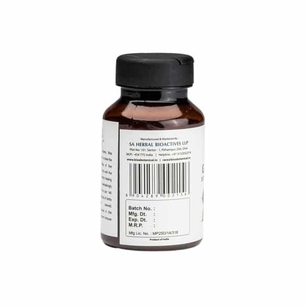Bixa Botanical Gudmar Extract 60 Veg Capsules(450Mg)25%Gymnemic Acids-Control Blood Sugar Level