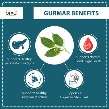 Bixa Botanical Gudmar Extract 60 Veg Capsules(450mg)25%Gymnemic Acids-Control Blood Sugar Level