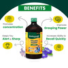 Baidyanath Shankhpushpi Sharbat | Helps Improve Memory | Cognitive Skills & Mental Fatigue - 650Ml