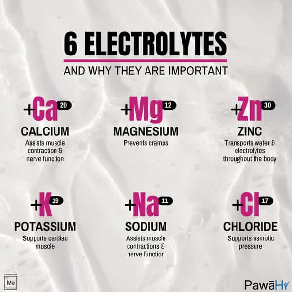 Pawahy Isotonic Drink Endurance Workout Electrolyte Energy Drink With 2:1:1 Bcaa- 1Kg Lemonade)