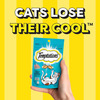 Temptations Crunchy Cat Treats | Tempting Tuna Flavour | 85 G (Pack Of 12)