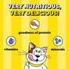 Temptations Crunchy Cat Treats | Tempting Tuna Flavour | 85 G (Pack Of 12)