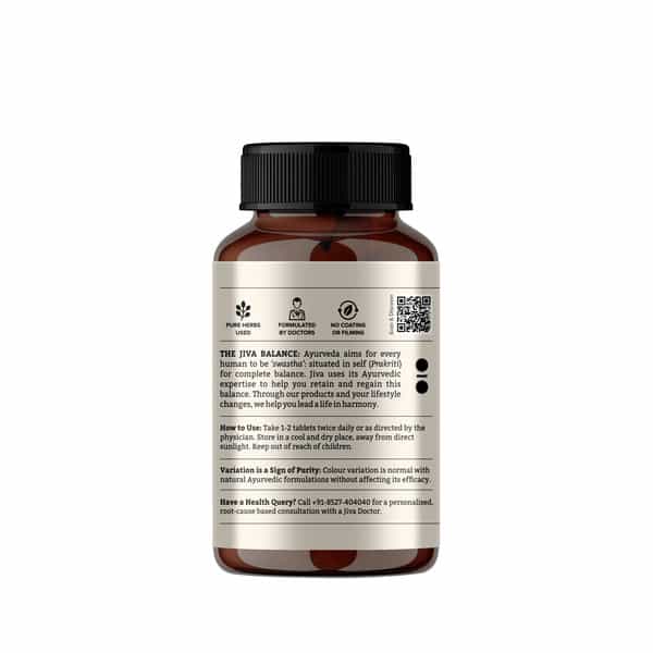 Jiva Diatrin Tablets 500Mg| Controls Blood Sugar | Diabeties Care Tablet - 120 Tablets (Pack Of 2)