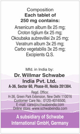 Dr. Willmar Schwabe India Alpha - Dp Digestive Problem 20Gm