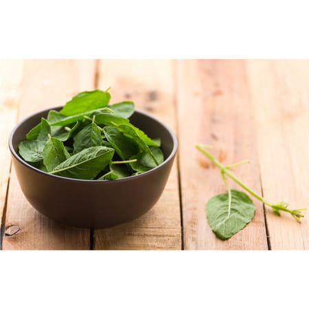 Herbal Hills Tulsi Powder 1kg - Holy Basil