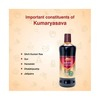 Dabur Kumaryasava Liquid 450 Ml