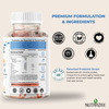 Nutrazee Probiotic Gummies Supplement For Kids & Adults|No Added Sugar | Orange Flavour (30G)