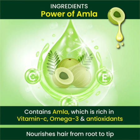 Cipzer Roghan-E-Amla 100ml | Supports Hair Strength| Root Nourishment & Healthy Growth