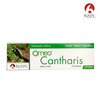 Bjain Omeo Cantharis Ointment| Homeopathic Support For Burns . Blisters & Skin Irritation - 30gm