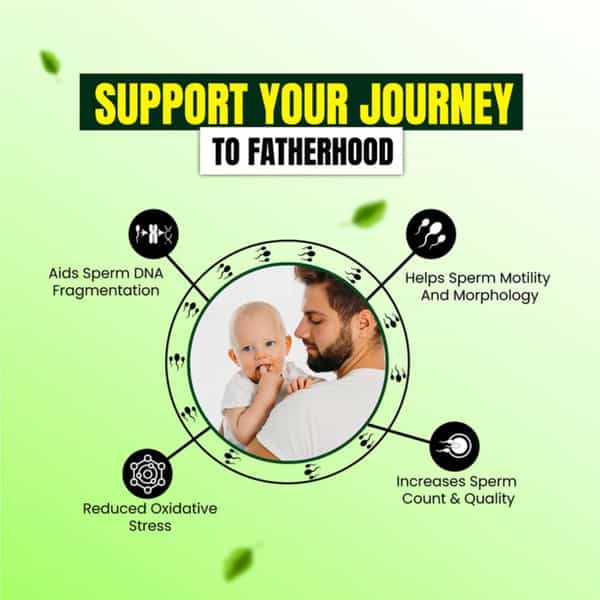 Cipzer Boost Sperm 60 Capsules | Supports Male Fertility| Sperm Health & Reproductive Wellness