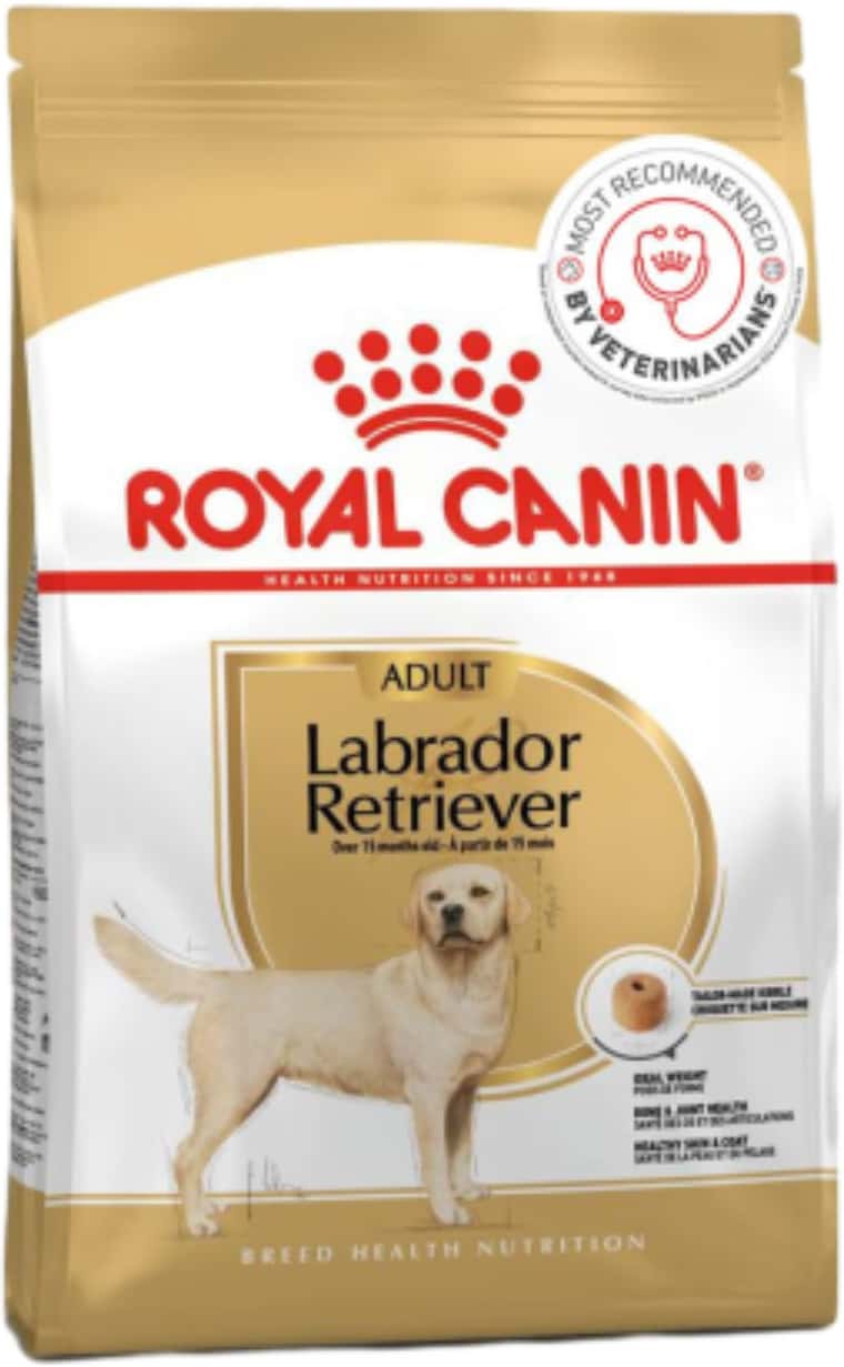 Royal Canin Golden Retriver Adult Dog Food | 3 Kg | Dry Food