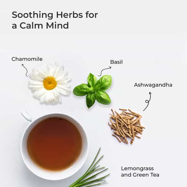 Tula Wellbeing Calm Ease Infusion Herbal Tea | Lemongrass & Mint | 100% Natural | 45 Servings - 100G