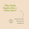 Kapiva Aloe Vera + Amla Juice (2L)|Cold-Pressed Juice For Glowing Skin & Metabolism|Super Saver Pack