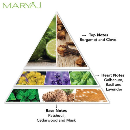 Maryaj Dynamic For Him Edp 100 Ml & Wild Speed For Him Edp 100 Ml Pack Of 2