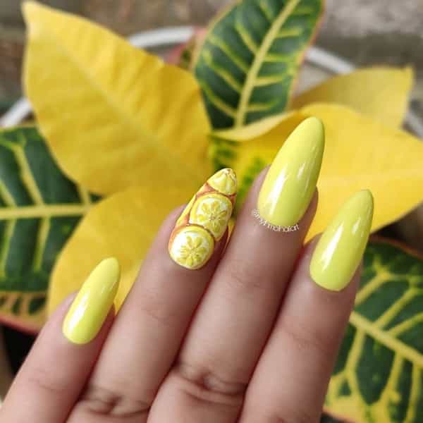 Debelle Gel Nail Polish Combo Set Of 4 Citrus Scream Lemon Tart 8Ml Each Rakhi Gift