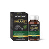 Goodcare Pure Himalayan Shilajit 60 Caps | Natural Ayurvedic Booster For Stamina | Energy & Immunity