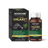 Goodcare Pure Himalayan Shilajit 60 Caps | Natural Ayurvedic Booster For Stamina | Energy & Immunity
