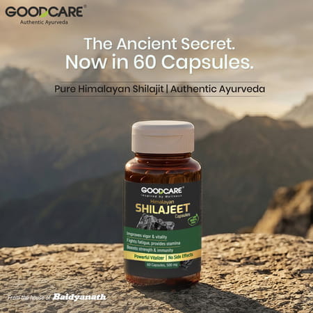 Goodcare Pure Himalayan Shilajit 60 Caps | Natural Ayurvedic Booster For Stamina | Energy & Immunity