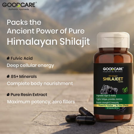 Goodcare Pure Himalayan Shilajit 60 Caps | Natural Ayurvedic Booster For Stamina | Energy & Immunity