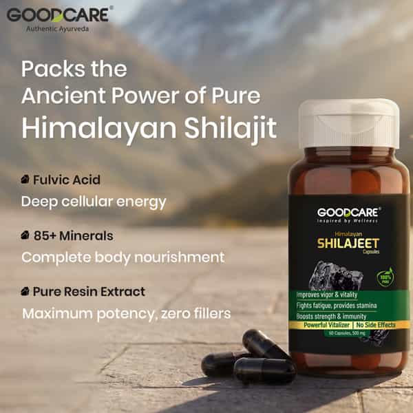 Goodcare Pure Himalayan Shilajit 60 Caps | Natural Ayurvedic Booster For Stamina | Energy & Immunity