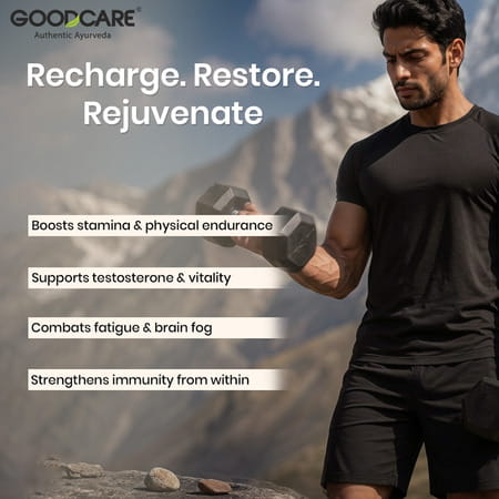 Goodcare Pure Himalayan Shilajit 60 Caps | Natural Ayurvedic Booster For Stamina | Energy & Immunity