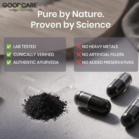 Goodcare Pure Himalayan Shilajit 60 Caps | Natural Ayurvedic Booster For Stamina | Energy & Immunity