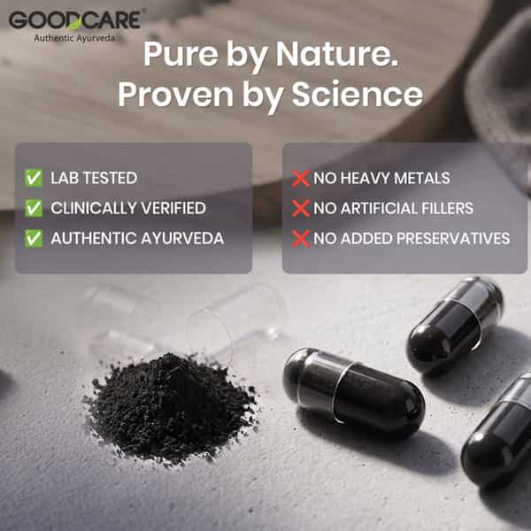 Goodcare Pure Himalayan Shilajit 60 Caps | Natural Ayurvedic Booster For Stamina | Energy & Immunity