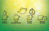 Celest Green Tea 100 Bags