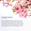 Lotus Professional Dermo Spa Japanese Sakura Skin Whitening & Illuminating Day Cream With Spf20 50g