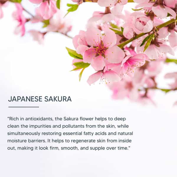 Lotus Professional Dermo Spa Japanese Sakura Skin Whitening & Illuminating Day Cream With Spf20 50G