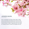 Lotus Professional Dermo Spa Japanese Sakura Skin Whitening & Illuminating Day Cream With Spf20 50g