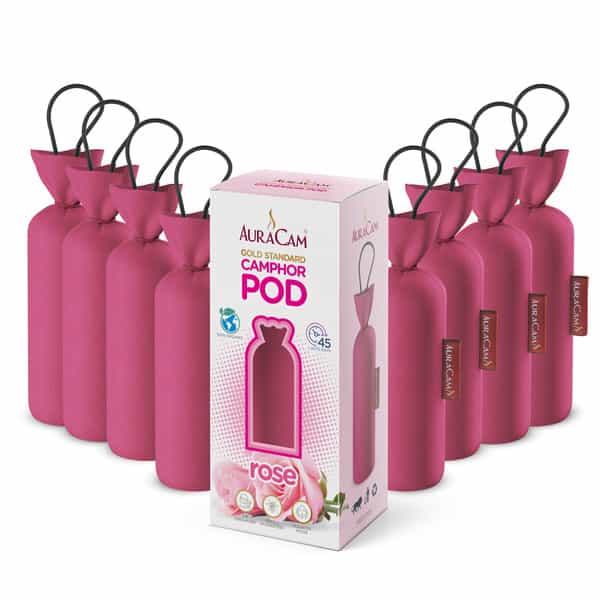 Auracam Gold Standard Camphor Pod | Camphor Cone Rose - Set Of 8
