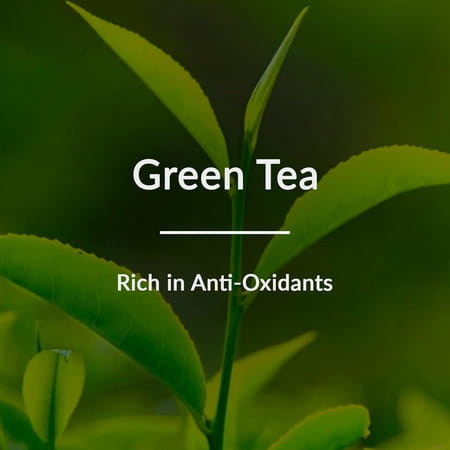 Lotus Botanicals Natural Green Tea Hydradetox Clarifying Face Wash 100g (Pack Of 2)