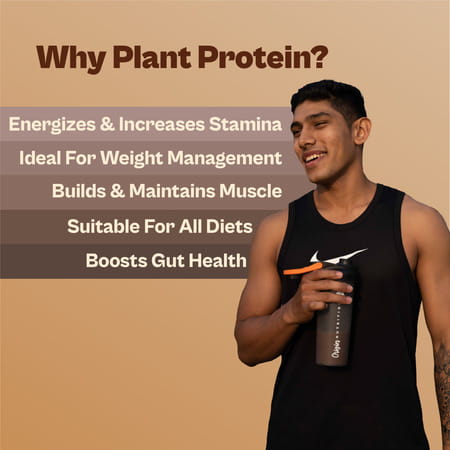 Origin Nutrition | Mocha Flavour With 25G Plant-Based Protein | 20 Servings