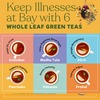 Kapiva Paachaka Green Tea Supports Digestion Enriched With Triphala Bay Leaf And Others 20 Tea Bags